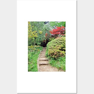 Forest Footpath Posters and Art